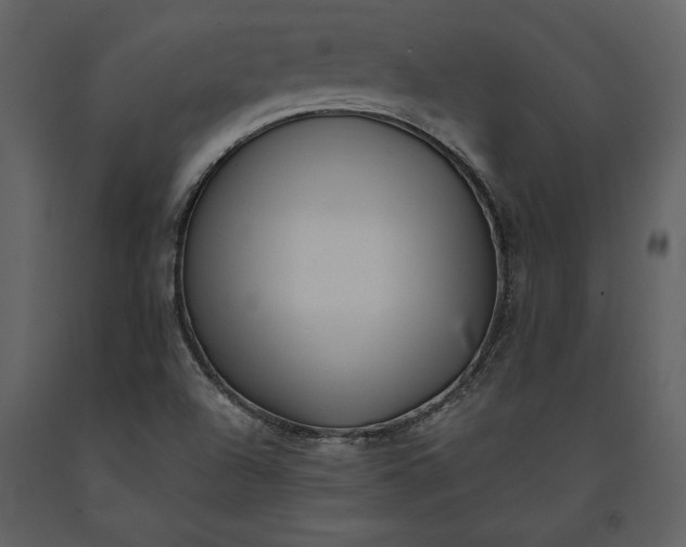 X0000091221504200708231619