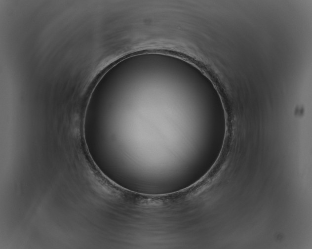 X0000091221505200708231619