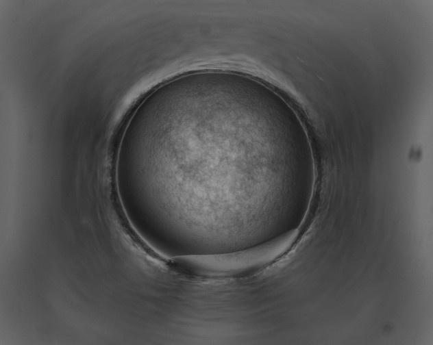 X0000091221506200708231619