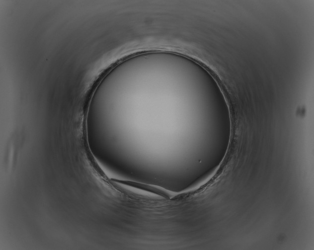 X0000091221507200708231619