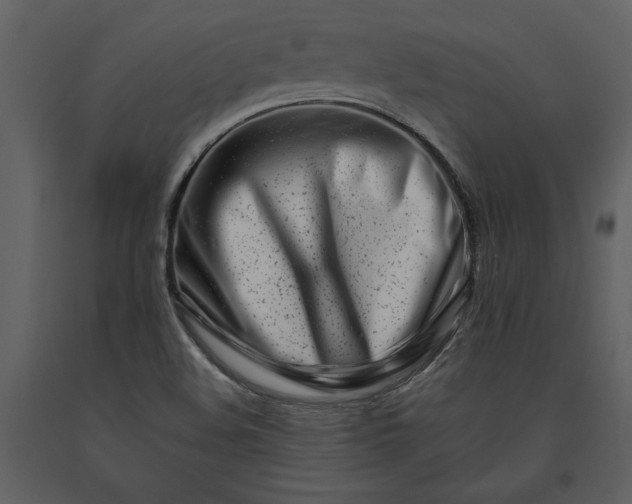 X0000091221508200708231619