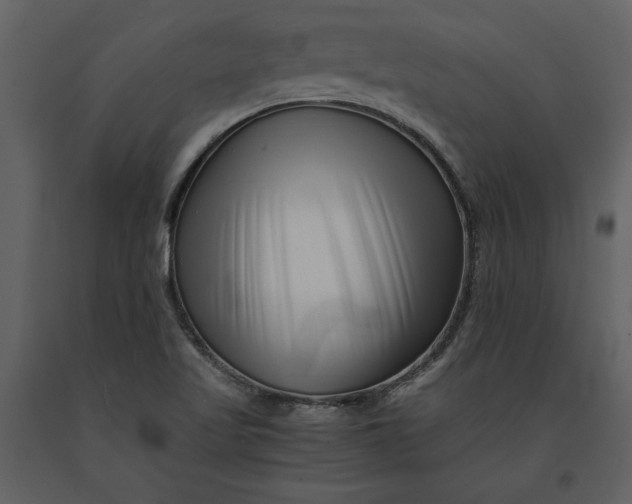 X0000091221509200708231619