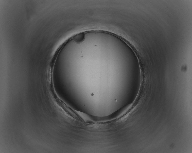 X0000091221510200708231619