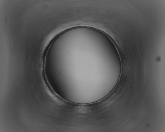 X0000091221511200708231619