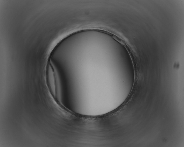 X0000091221512200708231619