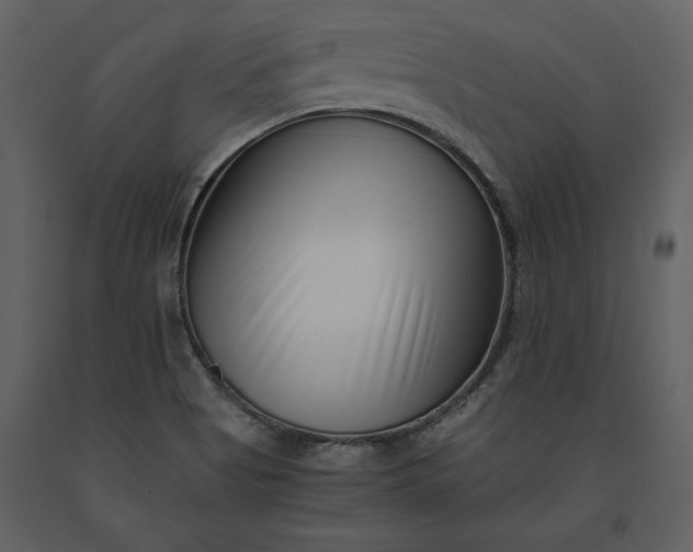 X0000091221513200708231619