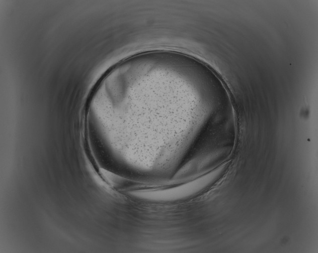 X0000091221515200708231619