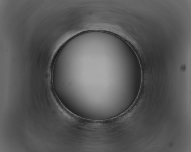 X0000091221517200708231619