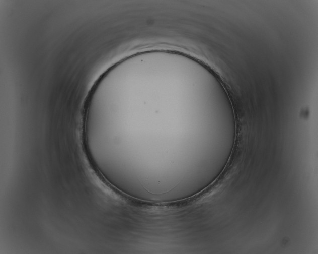 X0000091221518200708231619