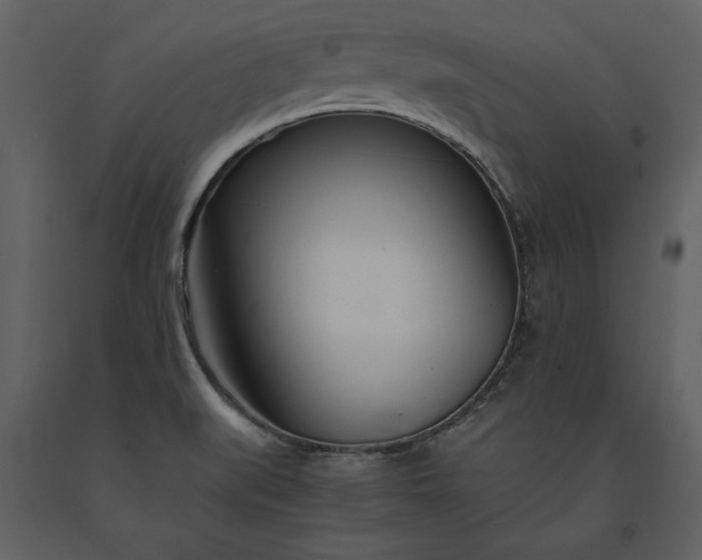 X0000091221519200708231619