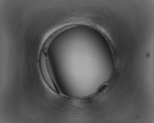 X0000091221520200708231619