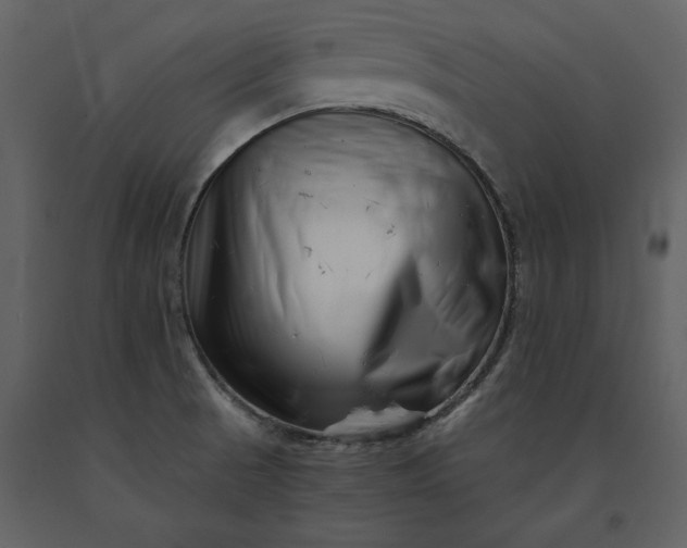 X0000091221521200708231619