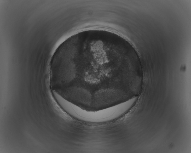 X0000091221522200708231619