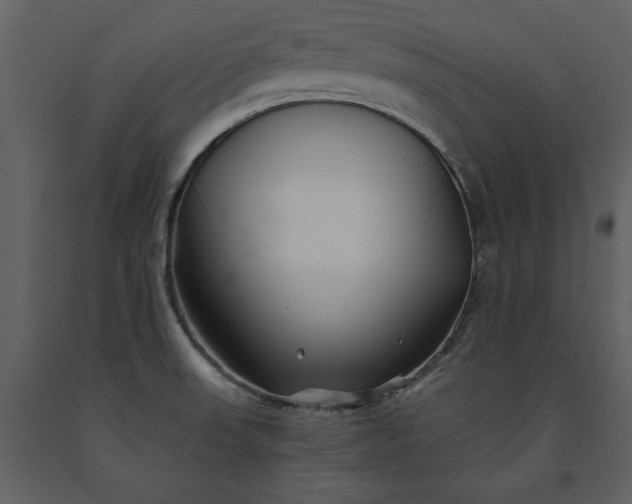 X0000091221523200708231619