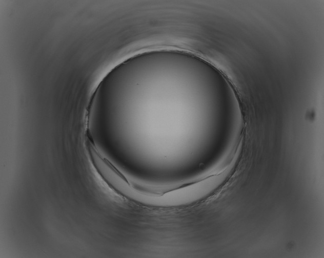 X0000091221524200708231619