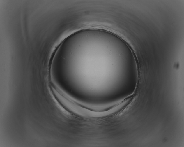 X0000091221525200708231619