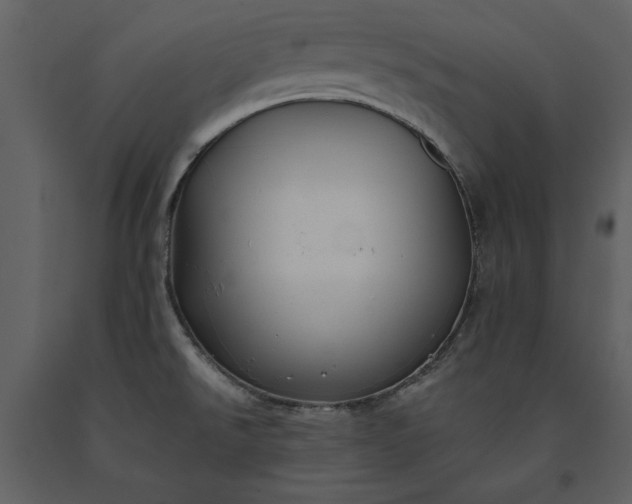 X0000091221526200708231619