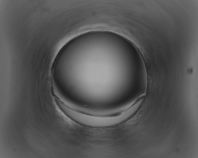 X0000091221527200708231619