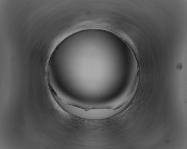 X0000091221528200708231619