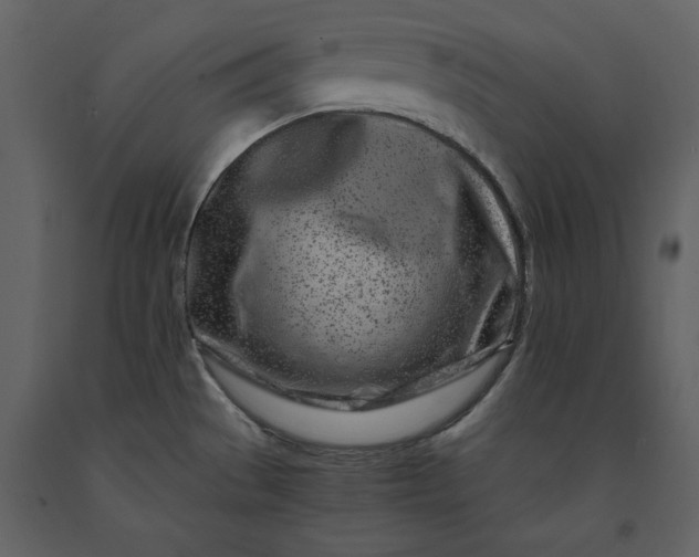 X0000091221529200708231619