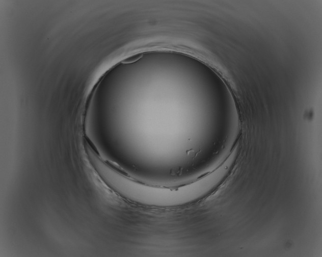 X0000091221530200708231619