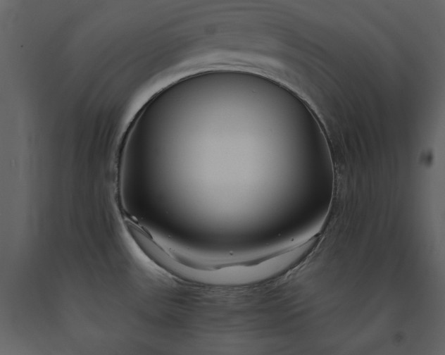 X0000091221531200708231619