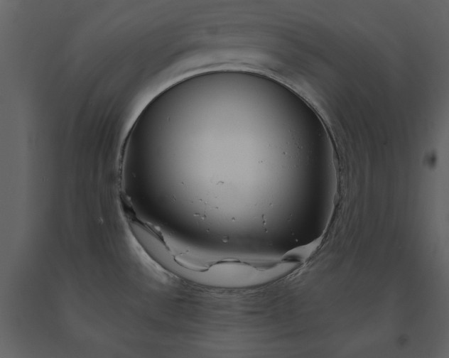 X0000091221532200708231619