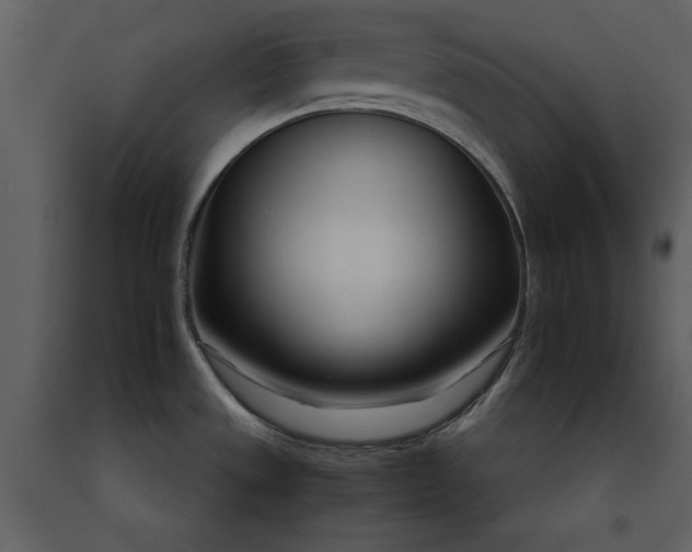 X0000091221533200708231619