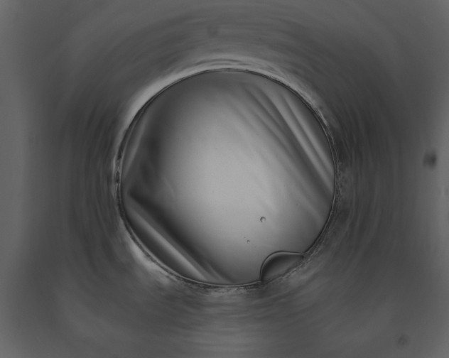 X0000091221535200708231619