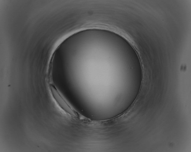 X0000091221536200708231619