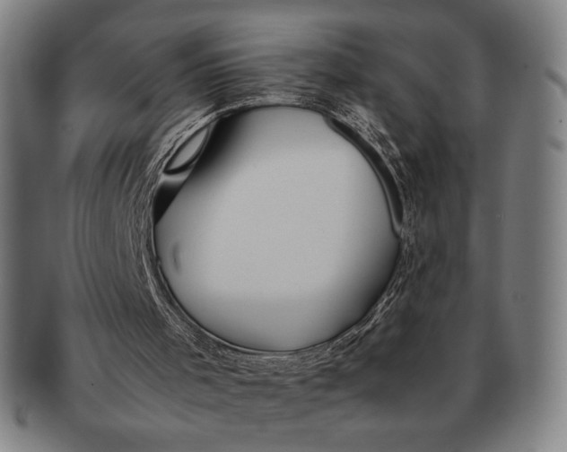 X0000091220001200708301503