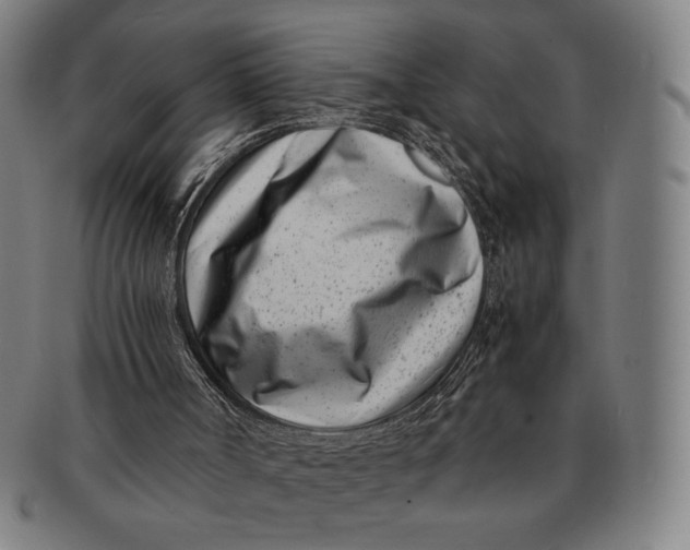 X0000091220002200708301503