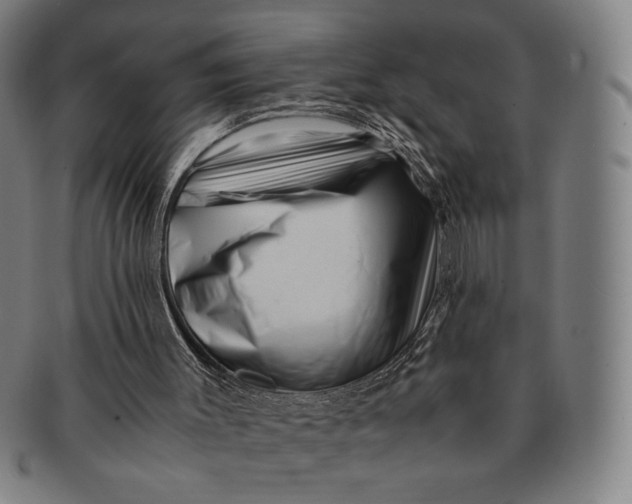 X0000091220003200708301503