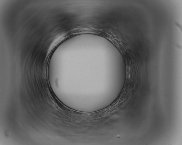 X0000091220004200708301503