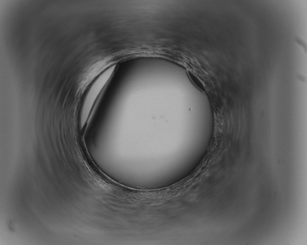 X0000091220005200708301503