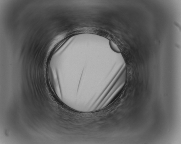 X0000091220006200708301503