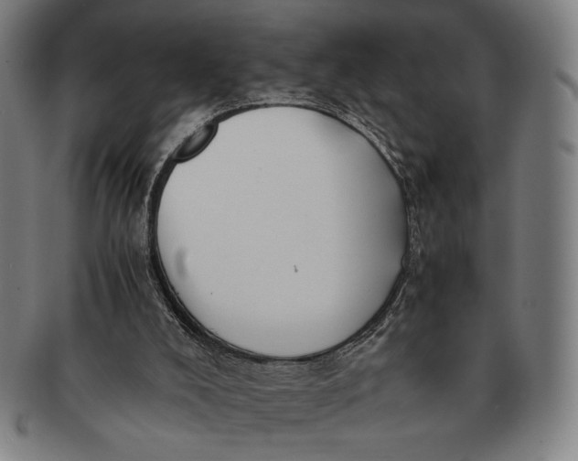 X0000091220008200708301503