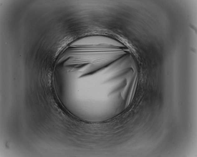 X0000091220010200708301502