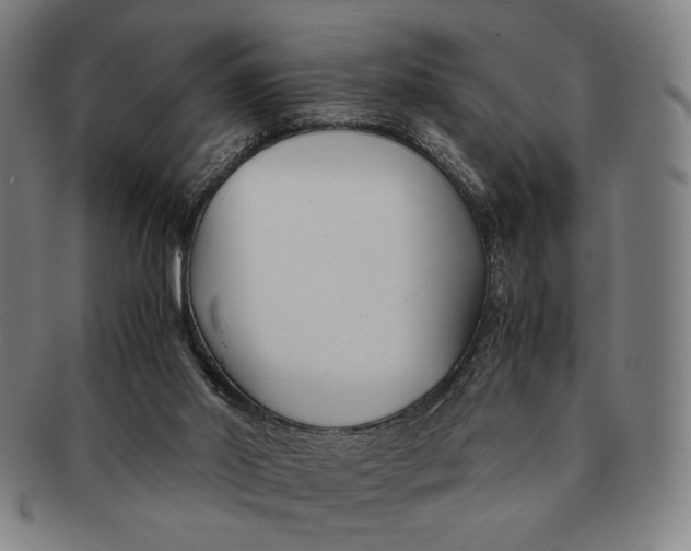 X0000091220014200708301502