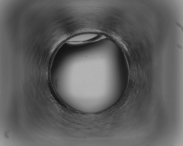 X0000091220015200708301502