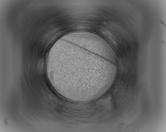 X0000091220016200708301502