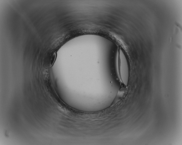 X0000091220017200708301502