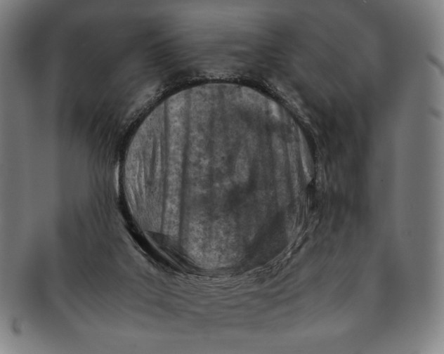 X0000091220019200708301502