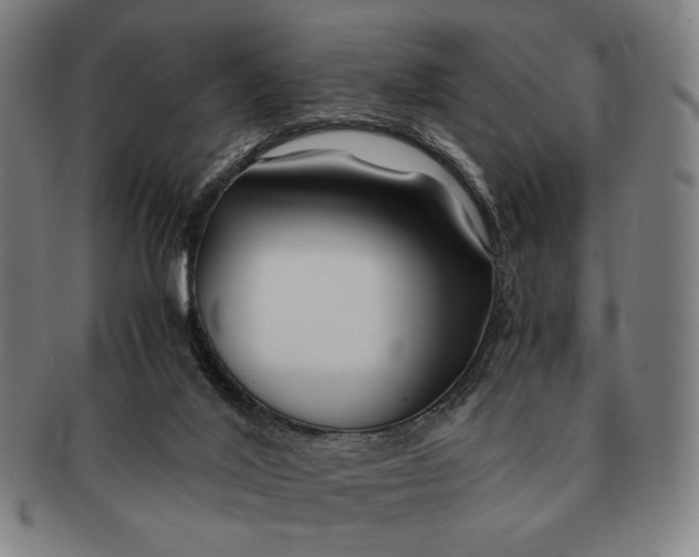 X0000091220020200708301502