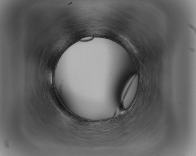 X0000091220021200708301502