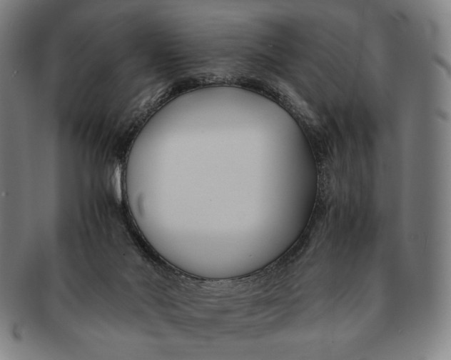 X0000091220022200708301502