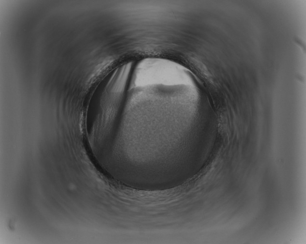 X0000091220023200708301502