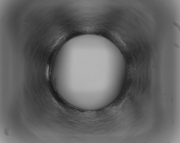 X0000091220024200708301502