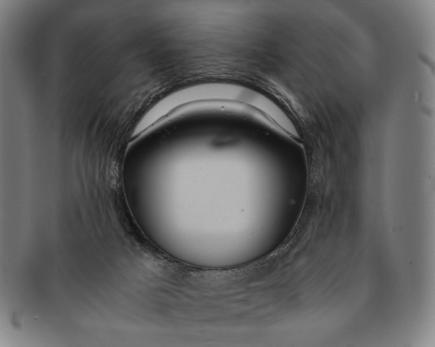 X0000091220025200708301502