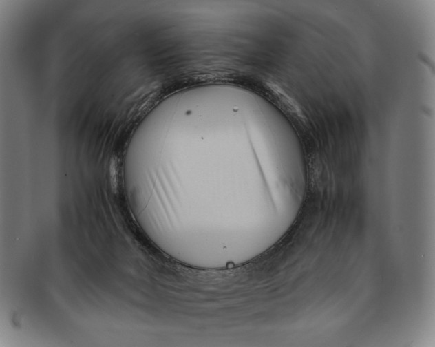 X0000091220026200708301502